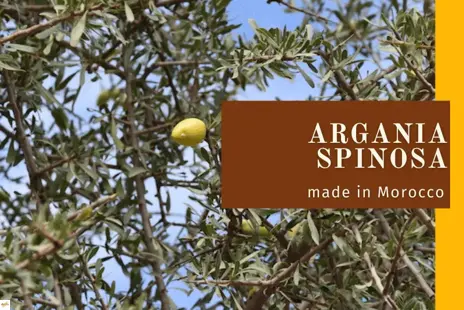 Nedostatok arganového oleja v Maroku